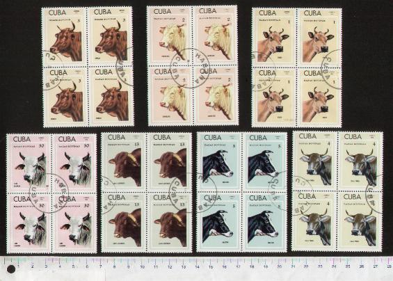 45590 - CUBA 1973-2851- Yvert 1679/85 * Bestiame Cubano, razze bovine - 6 valori serie completa timbrata in Quartina