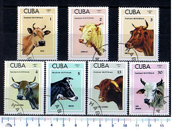 45591 - CUBA 1973-2851- Yvert 1679/85 * Bestiame Cubano, razze bovine - 6 valori serie completa timbrata