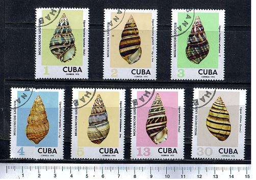 45614 - CUBA 1973-3476- Yvert 1709/15 * Conchiglie soggetti diversi - 7 valori serie completa timbrata