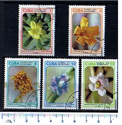45620 - CUBA 1974-3478- Yvert 1974/98 * Flora silvestre: fiori diversi - 5 valori serie completa timbrata