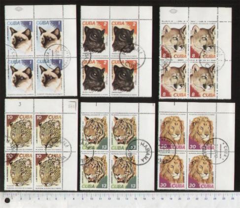 45668 - CUBA 1977-3745 -  *	Animali Felini soggetti diversi - 6 valori serie completa timbrata in Quartina