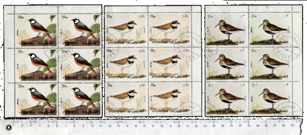 46159 - FUJEIRA, S-054	* OFFERTA PER RIVENDITORI - 	Uccelli diversi - 10 seriette uguali di 3 valori timbrati - foto parziale