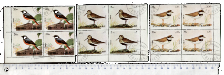 46161 - FUJEIRA, S-054	* 	Uccelli diversi - seriette di 3 valori timbrati in Quartina