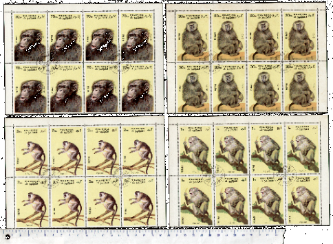 46169 - FUJEIRA, S-055	* OFFERTA PER RIVENDITORI - Scimmie diverse - 10 seriette uguali di 4 valori timbrati - foto parziale