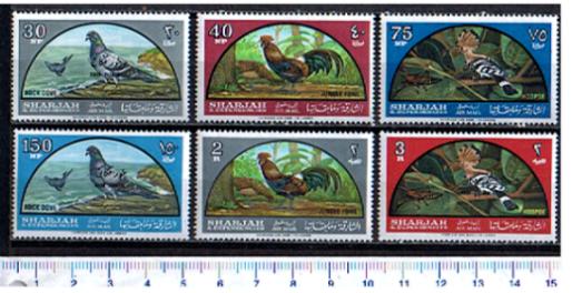 46672 - KHOR FAKKAN (0ra U.E.A.), Anno 1965- 18-23 *- Uccelli: di Sharjah sovrastampati Khor Fakkan - 6 valori completi nuovi