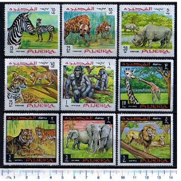 47822 - FUJEIRA, Anno 1968-231-39 * Animali Africani: razze diverse- 9 valori serie completa nuova senza colla