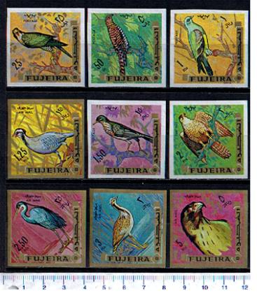 47833 - FUJEIRA, Anno 1969-294-302 *	Uccelli , soggetti diversi - 9 valori non dentellati serie completa nuova senza colla