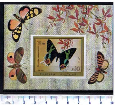 48304 - FUJEIRA, Anno 1971-716a * 	Farfalle soggetti diverse  - Foglietto non dentellato completo nuovo senza colla