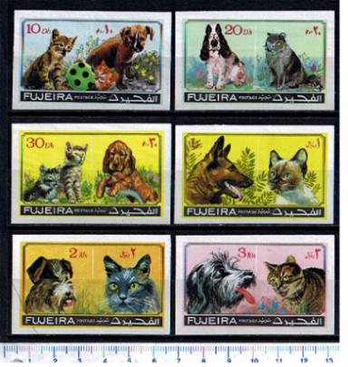 48357 - FUJEIRA, Anno 1971-733-38 *	Cani e gatti razze diverse  - 6 valori non dentellati serie completa nuova senza colla