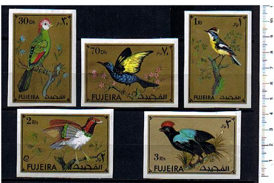 48361 - FUJEIRA, Anno 1971-744-44d *	Uccelli soggetti diversi - 5 valori non dentellati serie completa nuova senza colla