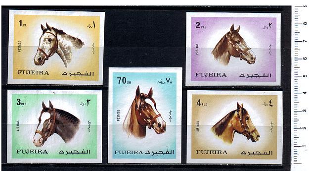 48441 - FUJEIRA, Anno 1971-739-43 *  Cavalli di razze diverse: dipinti - 5 valori non dentellati serie completa nuova senza colla