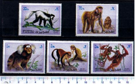 48782 - FUJEIRA (ora U.E.A.), Anno 1972-1224-28 *  Scimmie razze diverse - 5 valori serie completa nuova senza colla