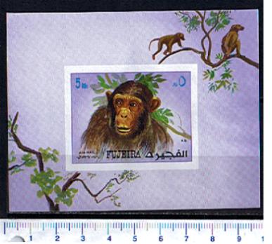 48790 - FUJEIRA (ora U.E.A.), Anno 1972-1229F *  Scimmie razze diverse - Foglietto non dentellato completo nuovo senza colla