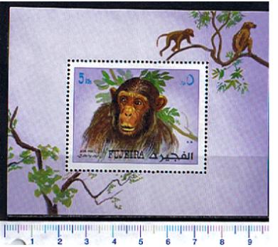 48793 - FUJEIRA (ora U.E.A.), Anno 1972-1229F *  Scimmie razze diverse - Foglietto dentellato completo nuovo senza colla