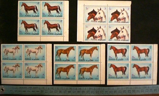 48848 - FUJEIRA (ora U.E.A.), Anno 1972-1230-34 *  Cavalli di razza diversi nei dipinti - 5 valori serie completa nuova senza colla in Quartina