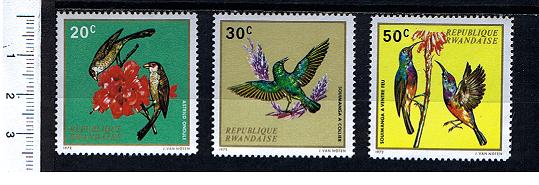 49149 - RWANDA 1972-S-126 *  - OFFERTA PER RIVENDITORI - Uccelli diversi - 10 seriette uguali di 3 valori nuovi - cat. # 457/459 - foto parziale