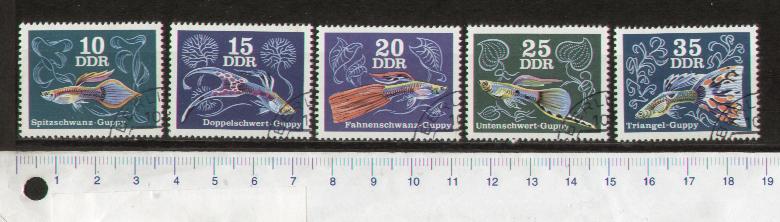 49412 - D.D.R. 1976-LS 47 * Pesci diversi - 5 valori timbrati