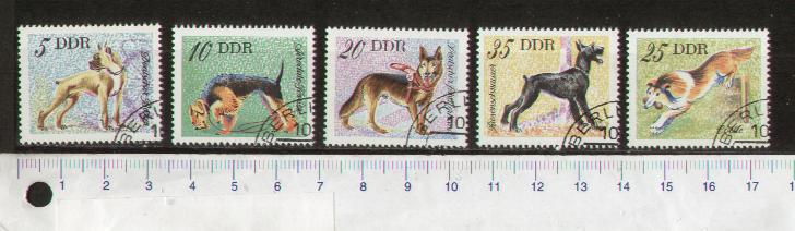 49414 - D.D.R. 1976-LS 50 * Cani diversi - 5 valori timbrati