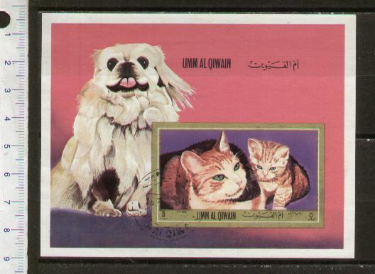49459 - UMM AL QIWAIN 1972-772 LS 42 * Cani e Gatti - Foglietto completo timbrato
