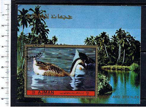 49573 - AJMAN (ora Unione Emirati Arabi) 1972-2931F * 	Uccelli e coleotteri - Foglietto completo timbrato