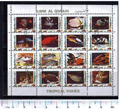 49747 - UMM AL QIWAIN 1973-2778s * Pesci Tropicali  - 16 valori serie completa timbrata - # 1115-30