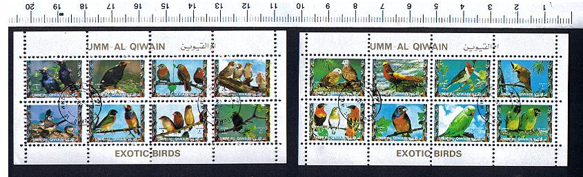 49751 - UMM AL QIWAIN 1973-2782s * Uccelli Esotici  - 16 valori serie completa timbrata - # 1084-98a