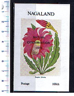 50268 - NAGALAND 1973-153F	* Conservazione Natura, Fiori diversi -  Foglietto completo nuovo