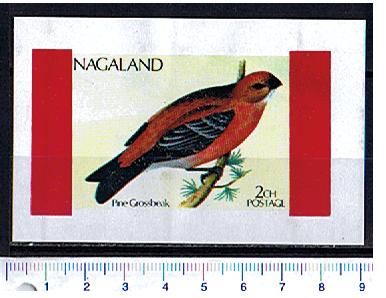 50269 - NAGALAND 1973-152F	* Uccello, Pine Grossbeak -  Foglietto completo nuovo