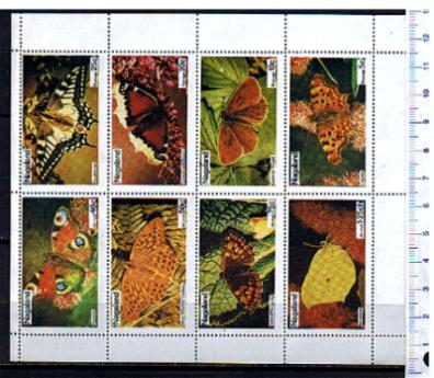 50288 - NAGALAND 1973-156 * 	Farfalle soggetti diversi - Blocco di 8 valori serie completa nuova