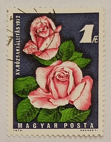 52114 - Ungheria Rosa 1ft - francobollo usato