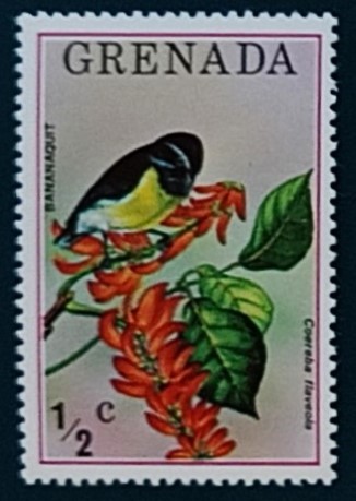 52206 - 1976 Grenada Bananaquit Bird 0.5c - nuovo