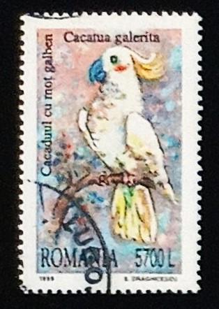 52362 - 1999 Romania Pappagallo Cacatua 5700 L - usato