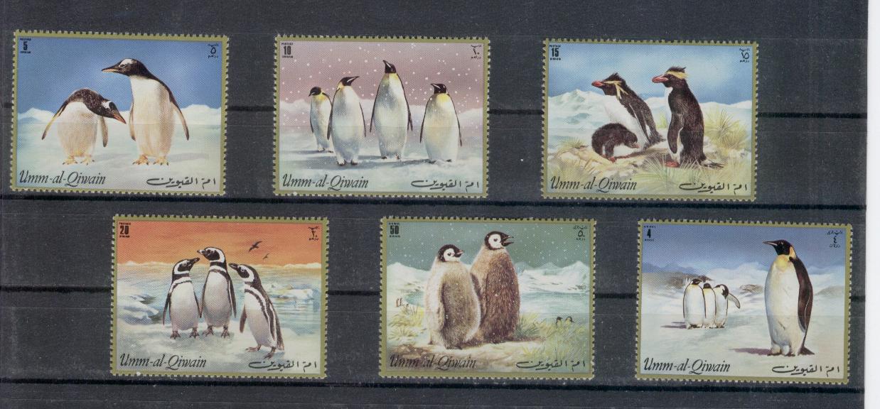 17878 - Umm al Qiwain - serie completa nuova: Pinguini