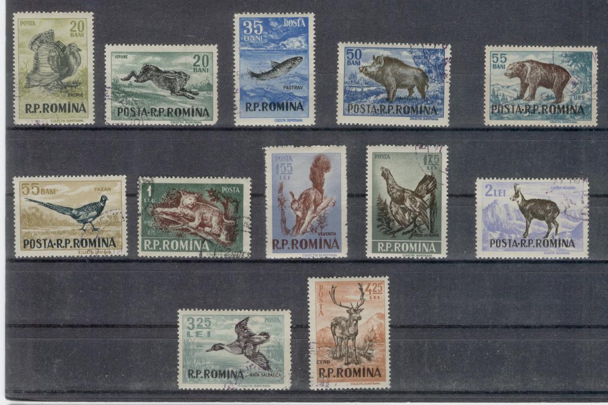 17912 - Romania - serie completa usata: animali da caccia e pesca