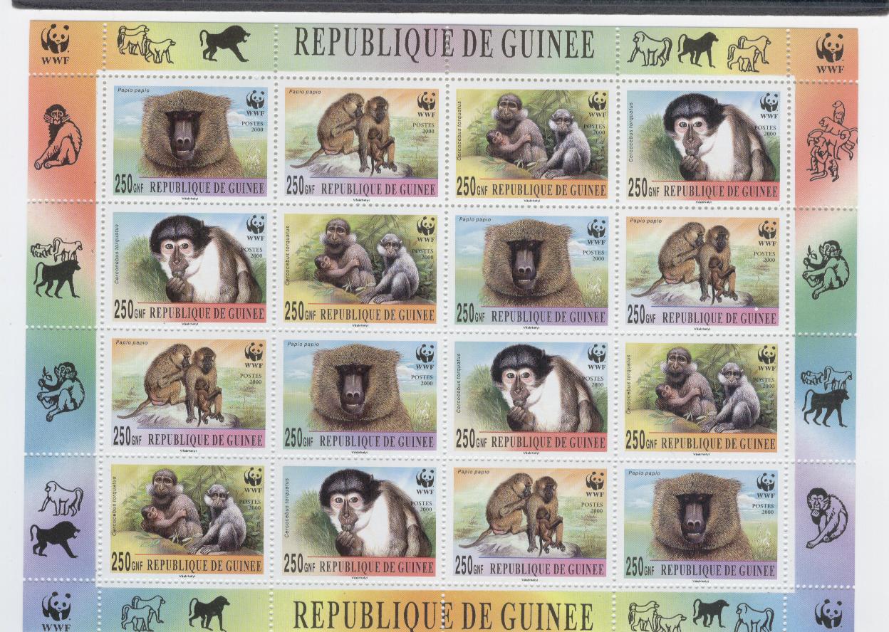 18062 - Guinea - foglietto nuovo: Scimme protette