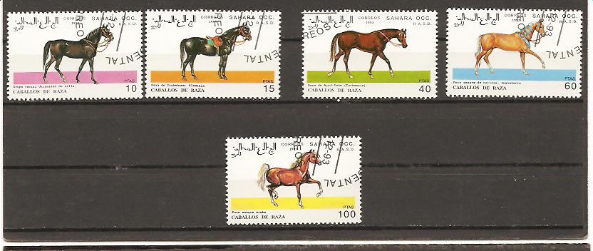 31007 - Sahara - serie completa usata: Cavalli di razza