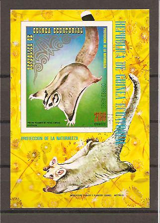 21809 - Guinea Equatoriale - foglietto non dentellato usato: Protezione della natura - scoiattolo volante