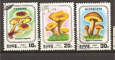 lotto