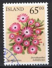 22409 - 2001 Islanda 65.00 - Rododendro