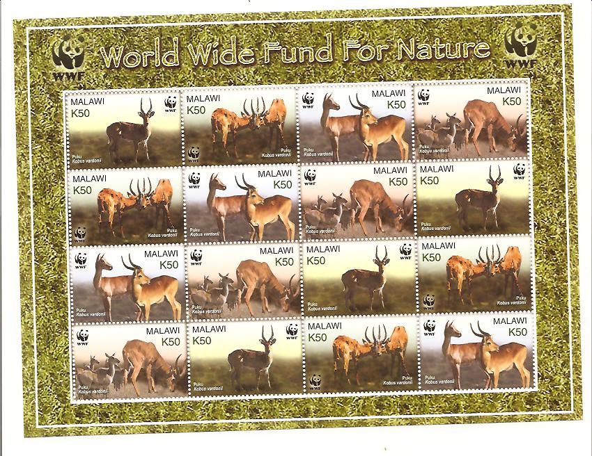 23800 - Malawi - foglietto nuovo: WWF - Antilopi