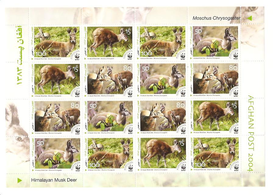 23803 - Afghanistan - foglietto nuovo: WWF Cervo dell Himalaya