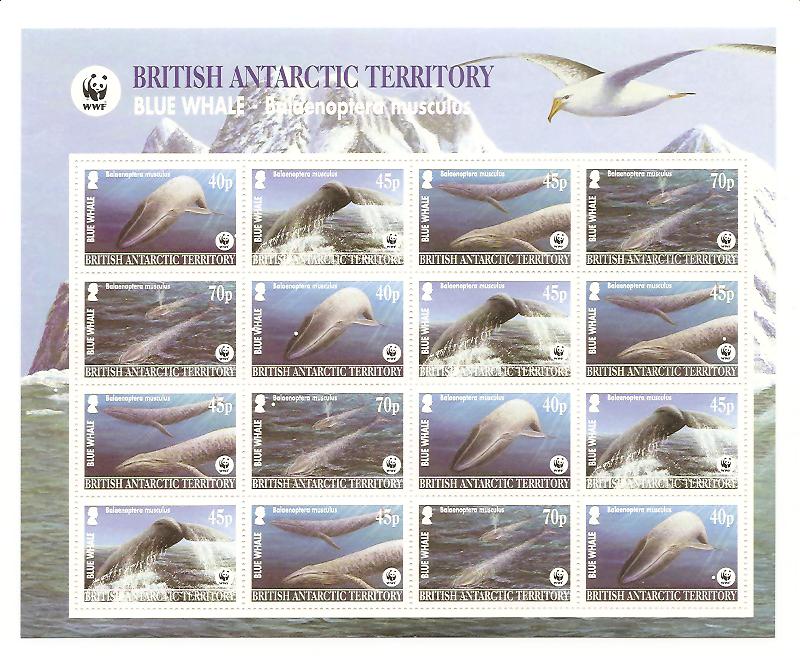 23807 - Territorio Antartico Britannico - foglietto nuovo: Balene protette