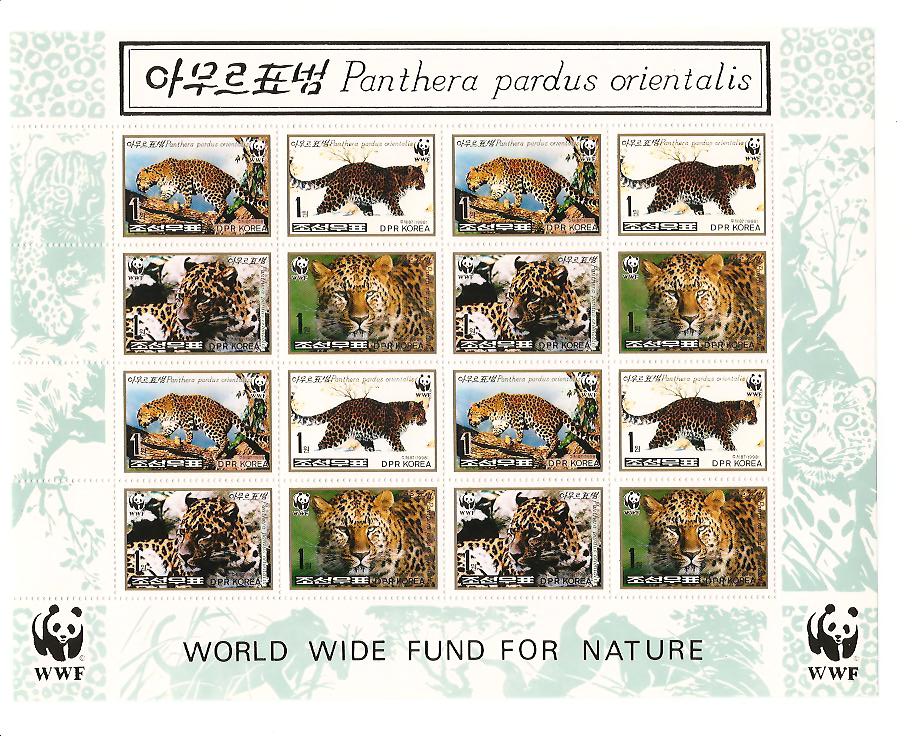 23814 - Corea del Nord - foglietto nuovo: Pantera