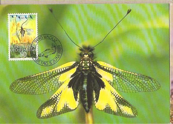 34435 - Liechtenstein: Cartolina maximum: Fauna protetta dal WWF - Libellula Coccajus - 1989
