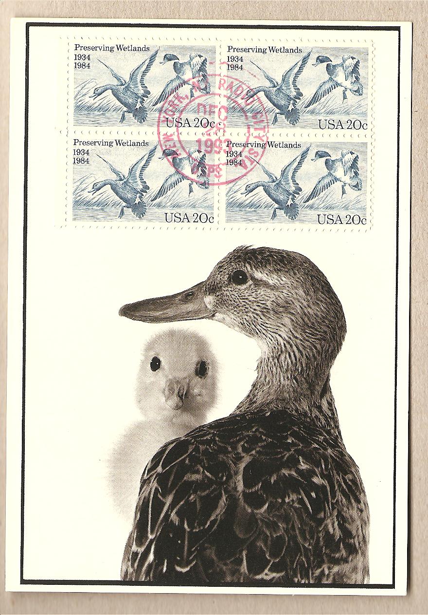 lotto
