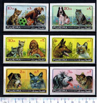 lotto