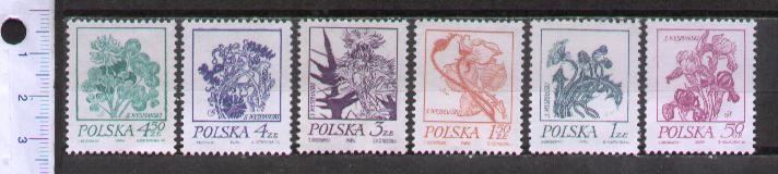 40919 - POLONIA 1974-POLONIA	1974-2136-41 Fiori diversi - 6 valori serie completa nuova senza colla - acquisto minimo  5,00