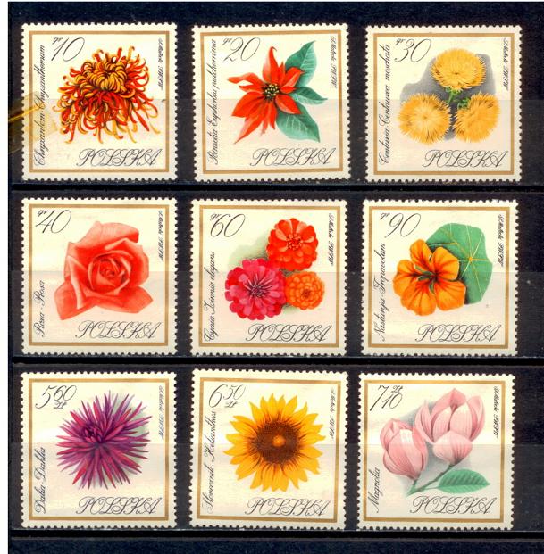 40951 - POLONIA	1966-1546/54	Fiori di giardino	- 9 valori serie completa nuova senza colla - Aqcuisti minimi  5,00