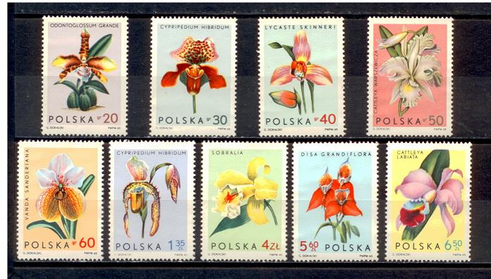 40955 - POLONIA	1965-1463/71	Orchidee diverse - 9 valori serie completa nuova senza colla - Acquisti minimi per  5,00