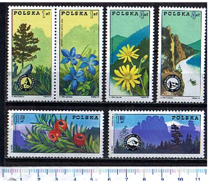 40985 - POLONIA	1975-2208-13	Centen.Organ.delle guide di Montagna: Fiori e paesaggi -  6 valori serie completa nuova senza colla - Acquisti minimi per  5,00